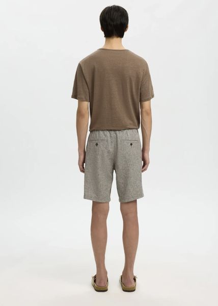 Hovedbilde Selected Homme Shorts Regular Brody Delisioso